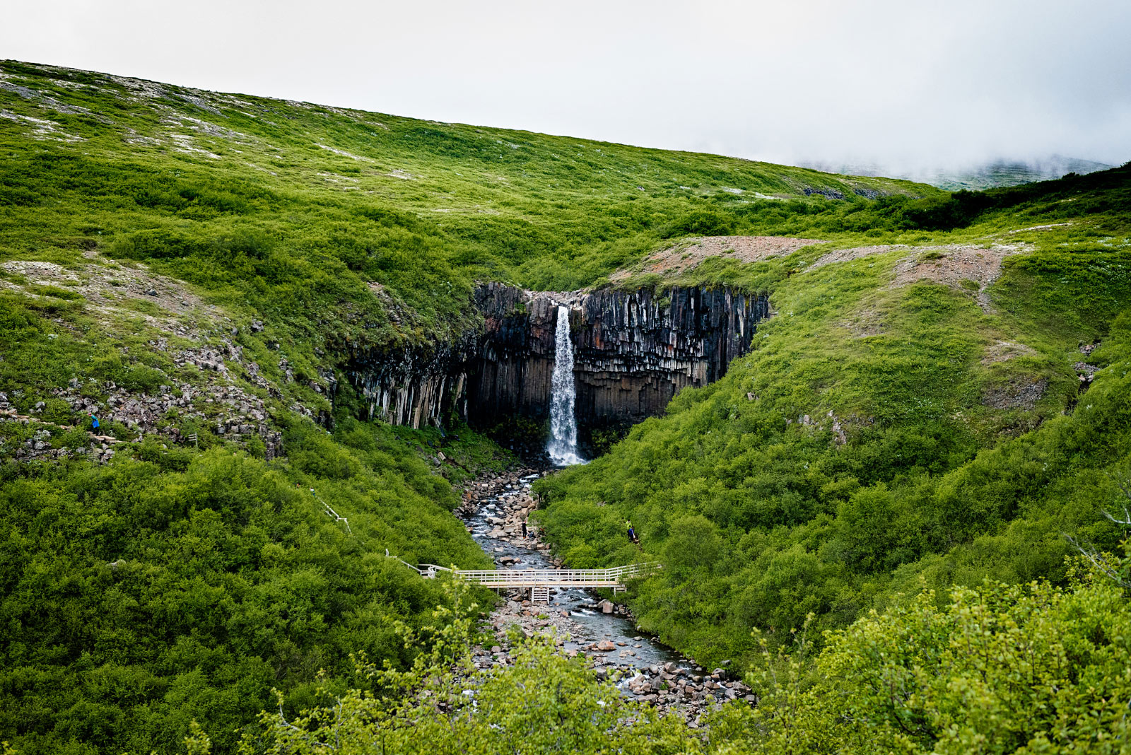 Svartifoss